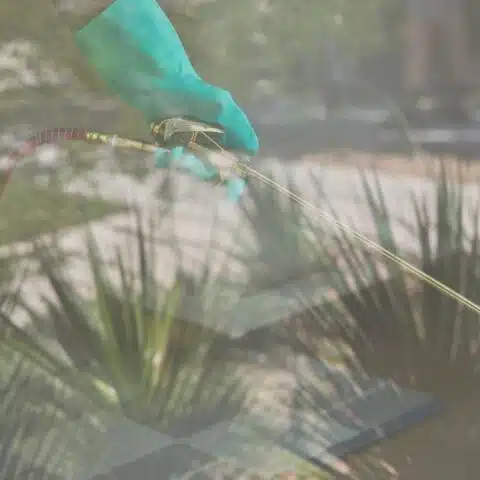 A Close-Up Of An Aptive Pest Control Specialist'S Gloved Hand Holding A Pesticide Sprayer.