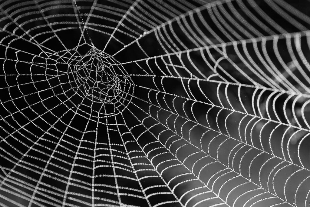 A Detailed Close-Up Image Of A Spider Web Covered In Tiny Dew Droplets, Set Against A Dark And Blurred Background. The Intricate Web Structure Is Highlighted By The Moisture, Creating A Symmetrical Pattern.