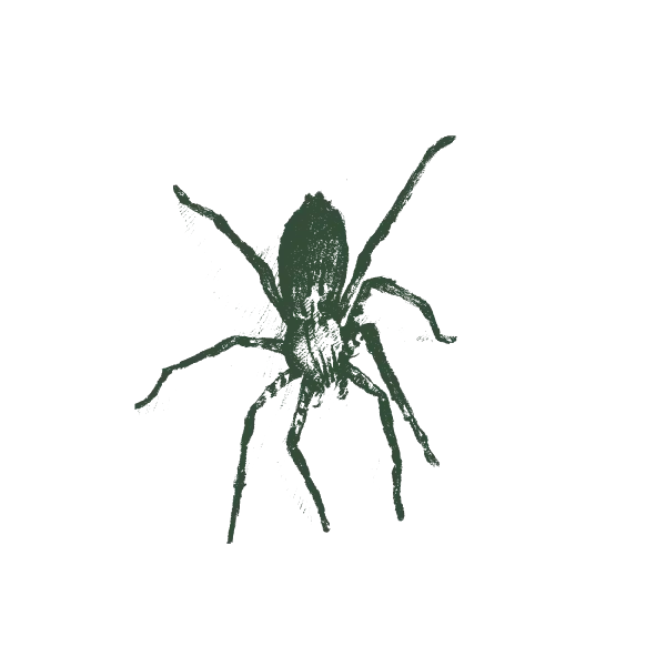 German Jumping Web Large